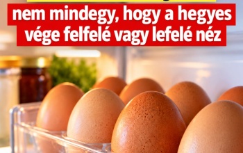 Így kell helyesen tárolni a tojást a hűtőben: nem mindegy, hogy a hegyes vége felfelé vagy lefelé néz