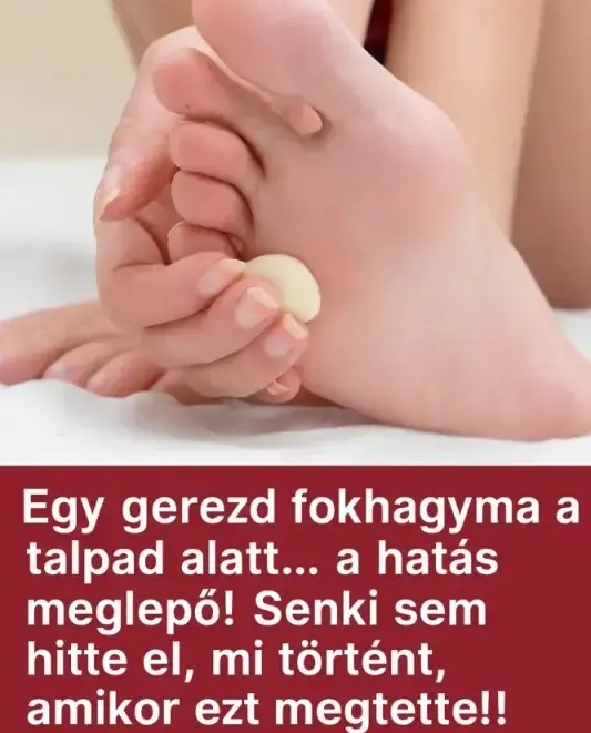fokhagymalabonb