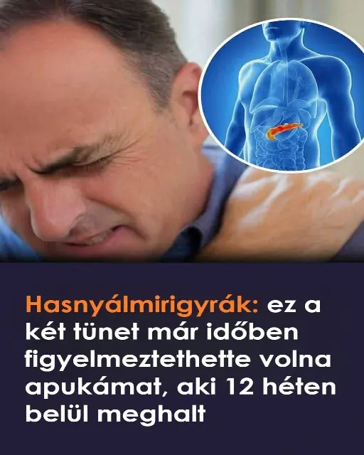 hasnyalmirigyrak jelei