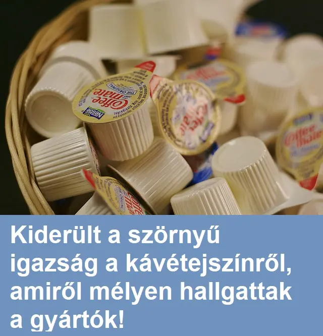 2336 kavetejszin22