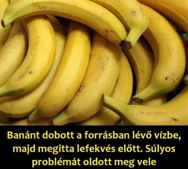 banan140822405705673666 n