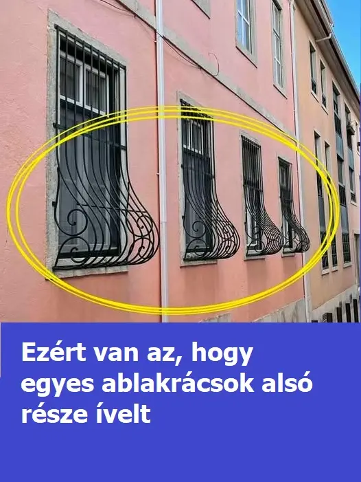 anblakracs435353345 768x497 1 768x400