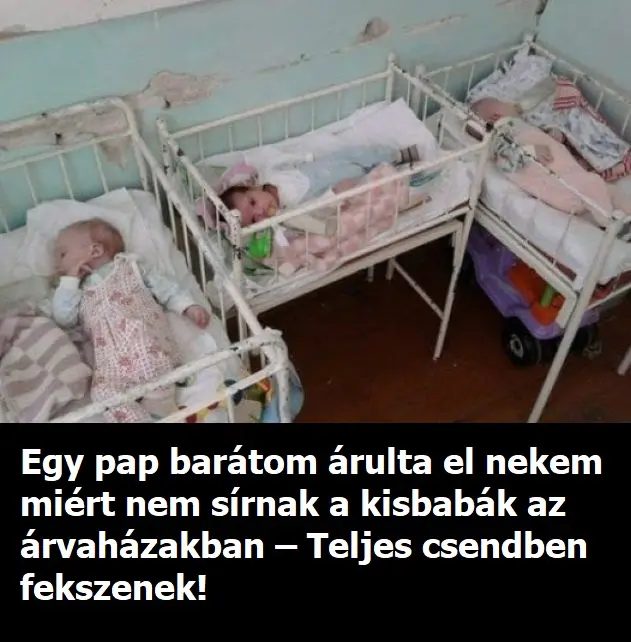 kisbaba 10 16 10.12.24 20241016 130255