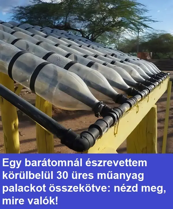 muanyagpalack041014491875425 n