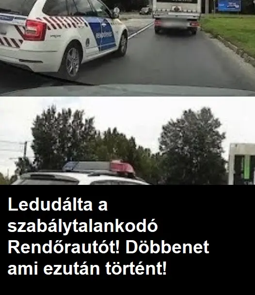 rendorautot11 n 526x381