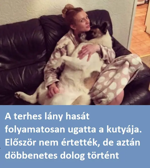 terheslanykutya56