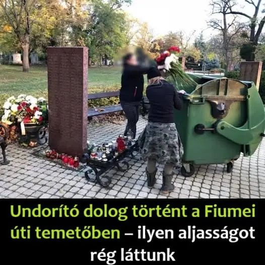 undorito556503899279 n