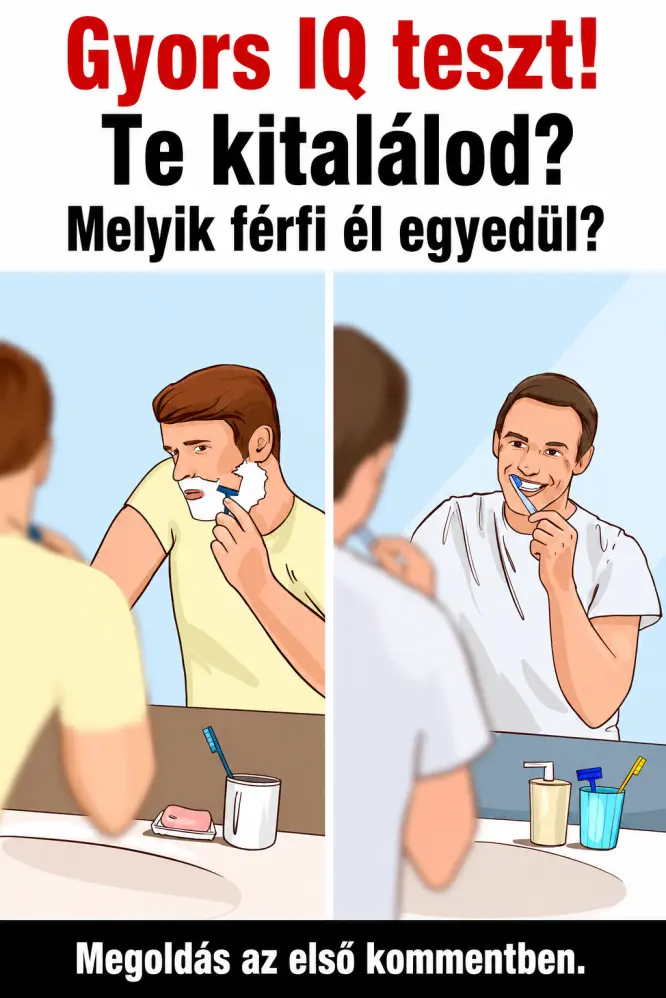 kitalalodmelyikferif5e9a2