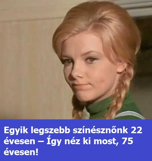 pirosildiki23.52.05 20240822 084910