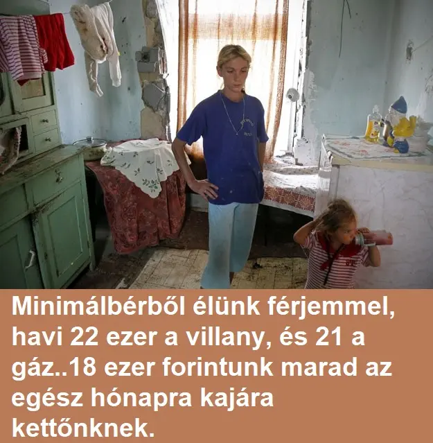 minimalber7251594 n