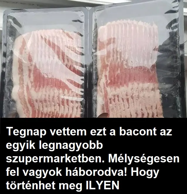 vettembacon03